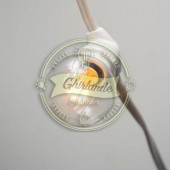 Ghirlanda luminoasa cablu alb, 10 m lungime, 20 becuri led clare, interconectabila 100m, de exterior