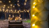 Ghirlanda luminoasa cu 1 pendul/ml si becuri led sticla cu filament 4w, 10 m lungime, interconectabile 150m, lumina calda