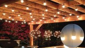 Ghirlanda luminoasa cu 2 pendule/m si becuri led 1W, 5m lungime, interconectabila, lumina medie