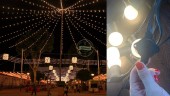 Ghirlanda luminoasa de exterior cu 3 bec led opac/ml si dulii E27, 1W/Bec Led, 30 m lungime, lumina calda