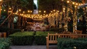 Ghirlanda Luminoasa de Exterior, lungime 60 m, cu 2 Led/m, Glob Transparent