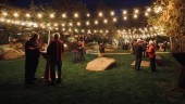 Ghirlanda Luminoasa Exterior, 80 m, cu 1 Led/m, Glob Transparent